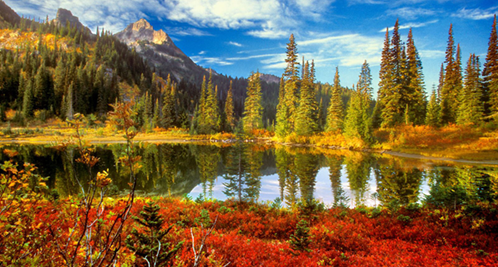 Fall in the Tatoosh Wilderness, Mount Rainier National Park by Don Paulson