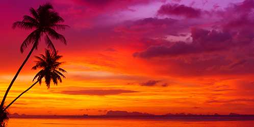 Sunset over the ocean with tropical palm trees