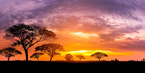 African sunset. Masai Mara, Kenya