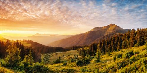 Carpathian national park, Ukraine